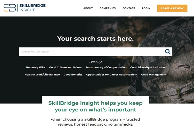 Screenshot of SkillBridge Insight